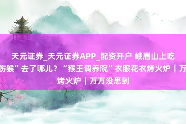 天元证券_天元证券APP_配资开户 峨眉山上吃败仗“受伤猴”去了哪儿？“猴王调养院”衣服花衣烤火炉｜万万没思到