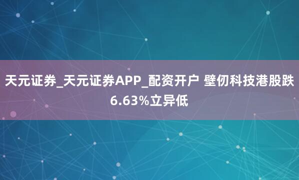 天元证券_天元证券APP_配资开户 壁仞科技港股跌6.63%立异低