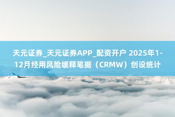 天元证券_天元证券APP_配资开户 2025年1-12月经用风险缓释笔据（CRMW）创设统计